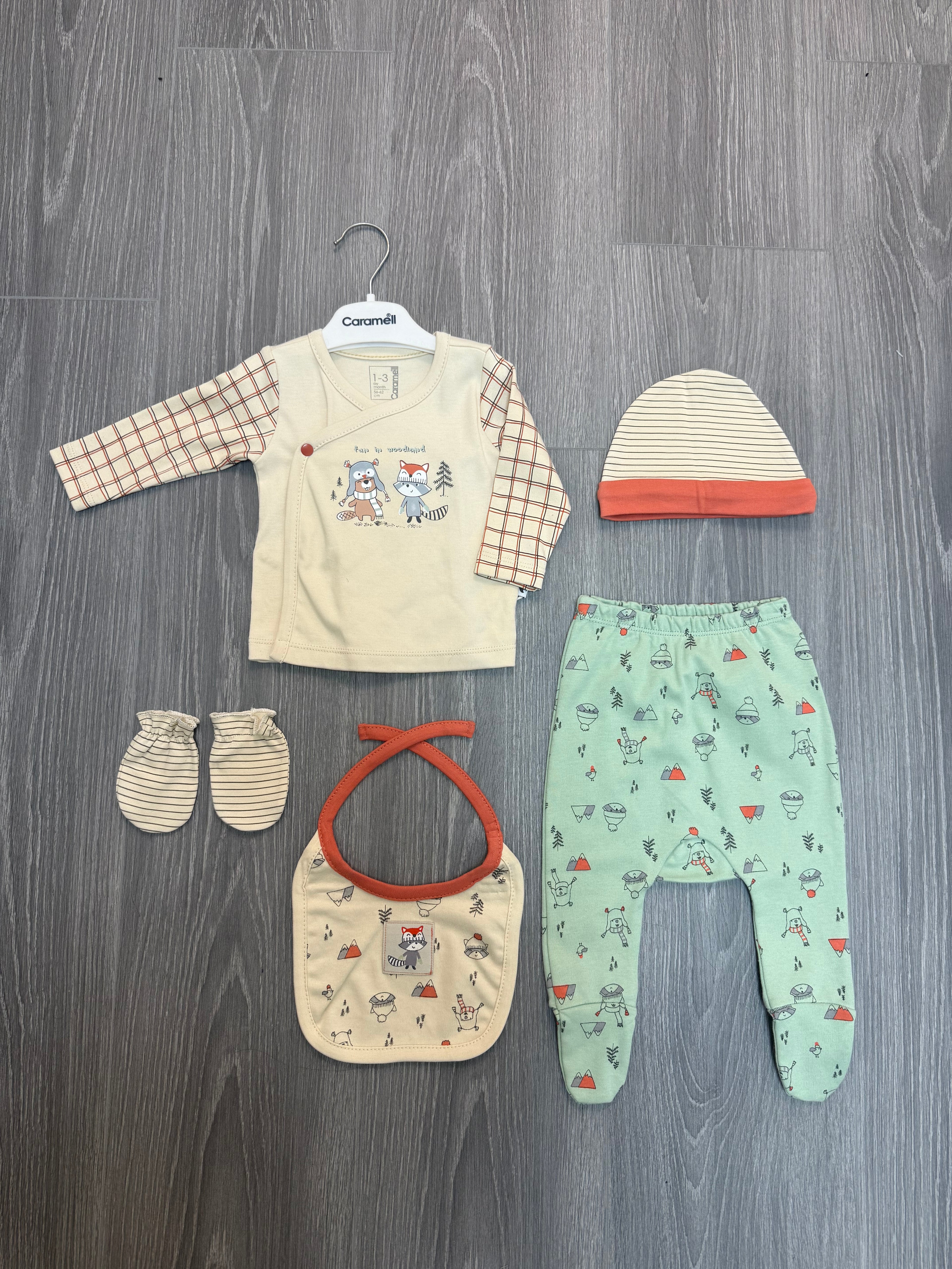 Fox newborn set 0-3 months