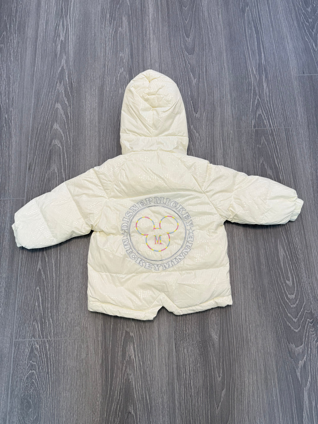 Minnie on Snow Jacket