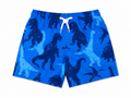 Navy Blue dinos swimsuit