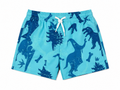 Dinos at the ocean swimsuit